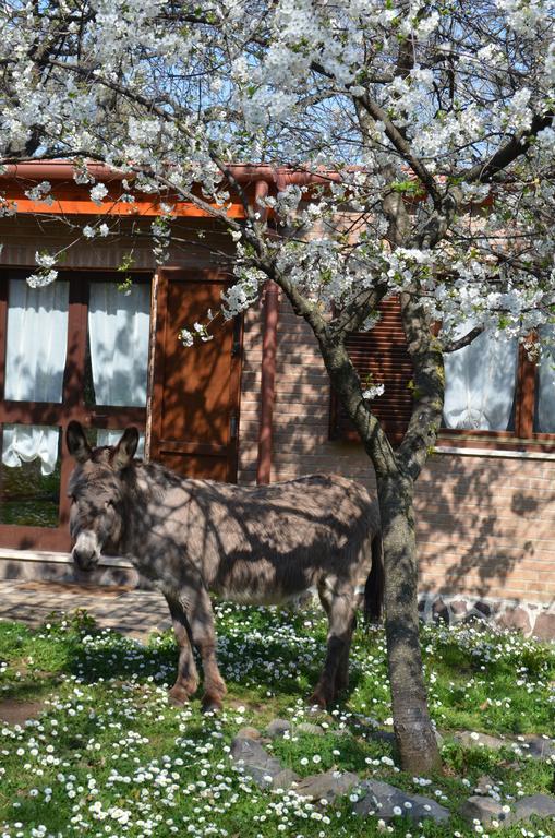 Tenuta Colle Mattia Colonna Екстер'єр фото